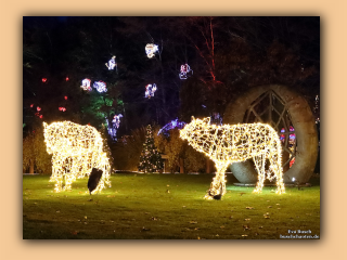 Skulpturenpark Blokhus Magisk Jul (65).jpg
